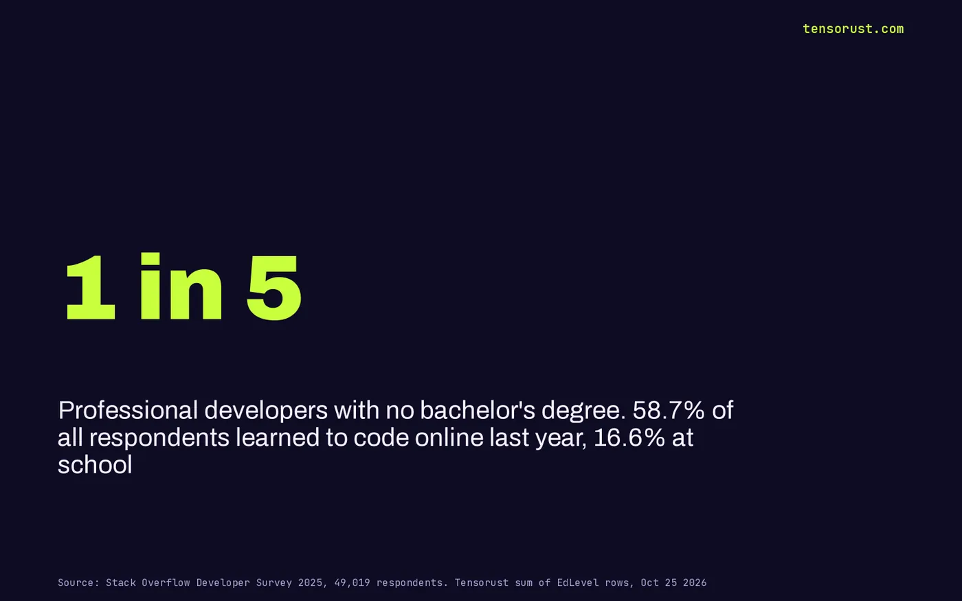 Stat card: 1 in 5 professional developers has no bachelor's degree (20.6% in the Stack Overflow 2025 survey); 58.7% of respondents learned to code online last year vs 16.6% at school.