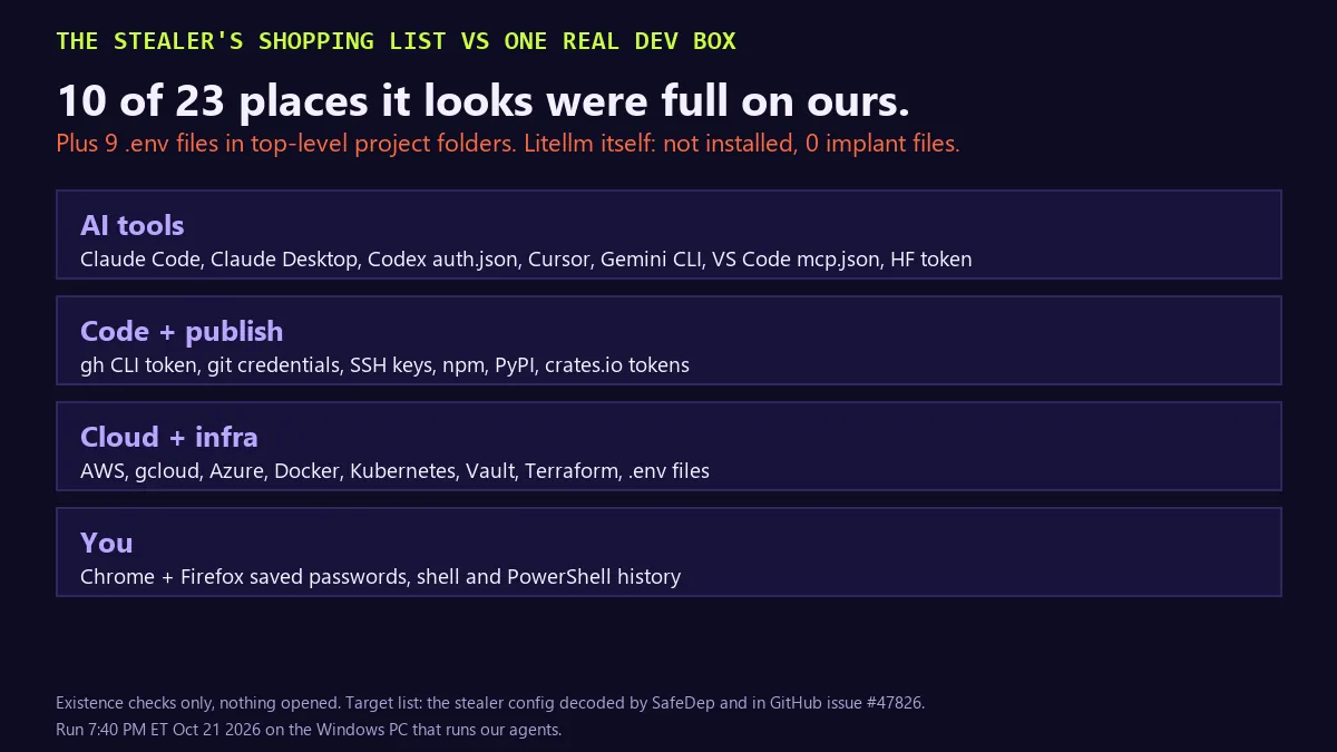 Card: the stealer's shopping list versus one real dev box. 10 of 23 places it looks were present on ours, plus 9 .env files in top-level project folders; LiteLLM itself not installed, 0 implant files. Target groups: AI tools (Claude Code, Claude Desktop, Codex auth.json, Cursor, Gemini CLI, VS Code mcp.json, Hugging Face token), code and publish tokens (gh CLI, git credentials, SSH keys, npm, PyPI, crates.io), cloud and infra (AWS, gcloud, Azure, Docker, Kubernetes, Vault, Terraform, .env files), and you (Chrome and Firefox saved passwords, shell and PowerShell history).